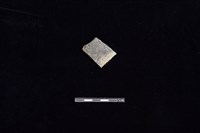 藏品(陶片)的圖片